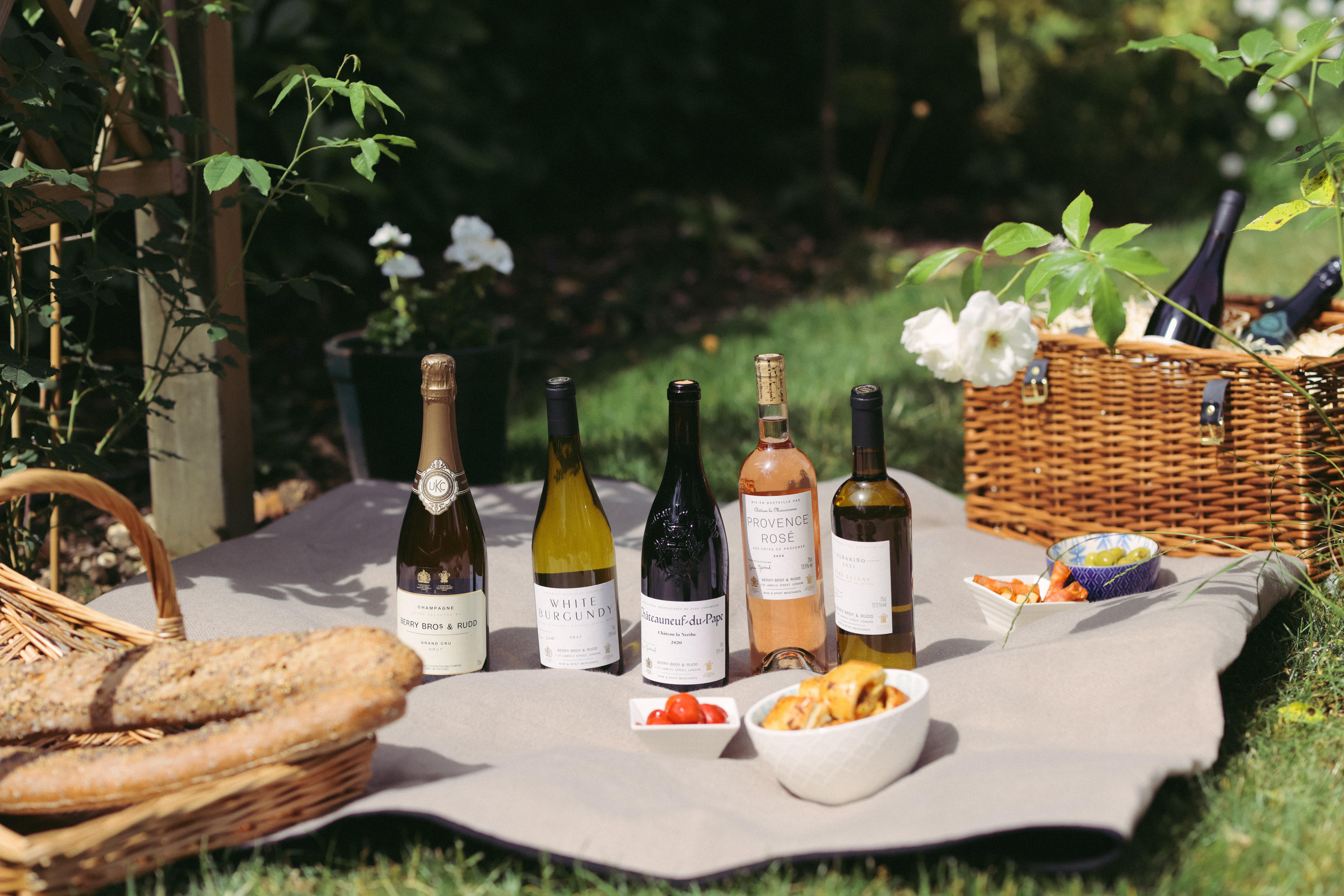 2023-Summer-photoshot-The-Picnic-Case-2