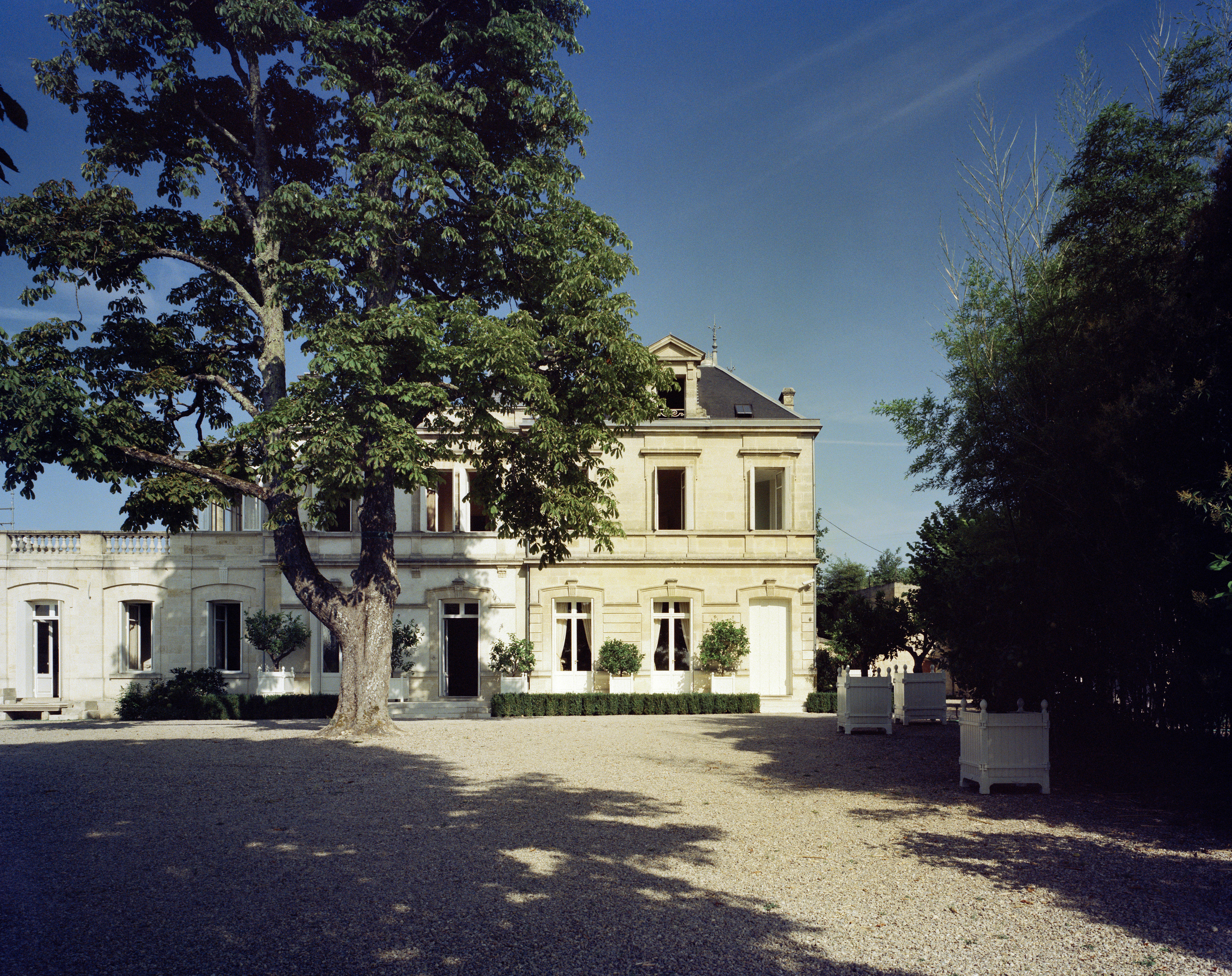 90068001381_Bordeaux-2015_Jason-Lowe-Ausone_02