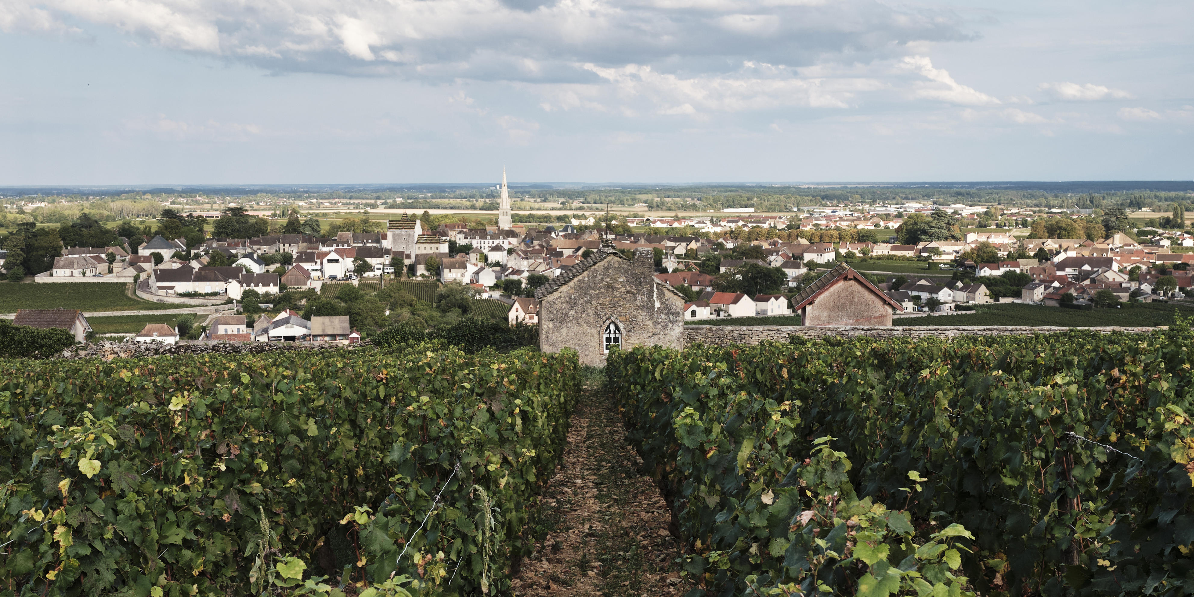 90068001661_Meurasult-village-and-vines_Burgundy-2023-Jason-Lowe_0000_01