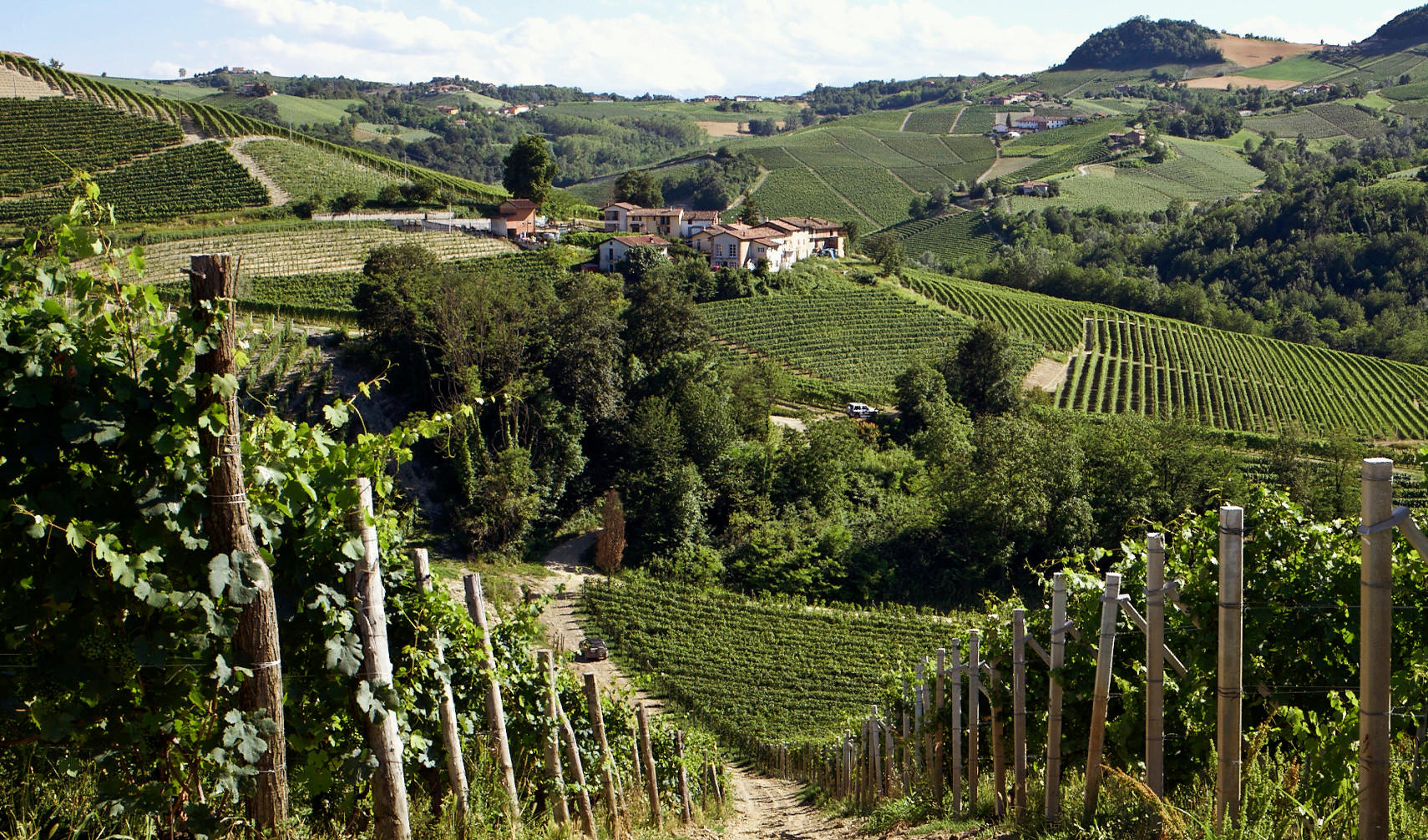 Italy-2014_Piedmont_Jason-Lowe_083-hero-barolo-2021-trio