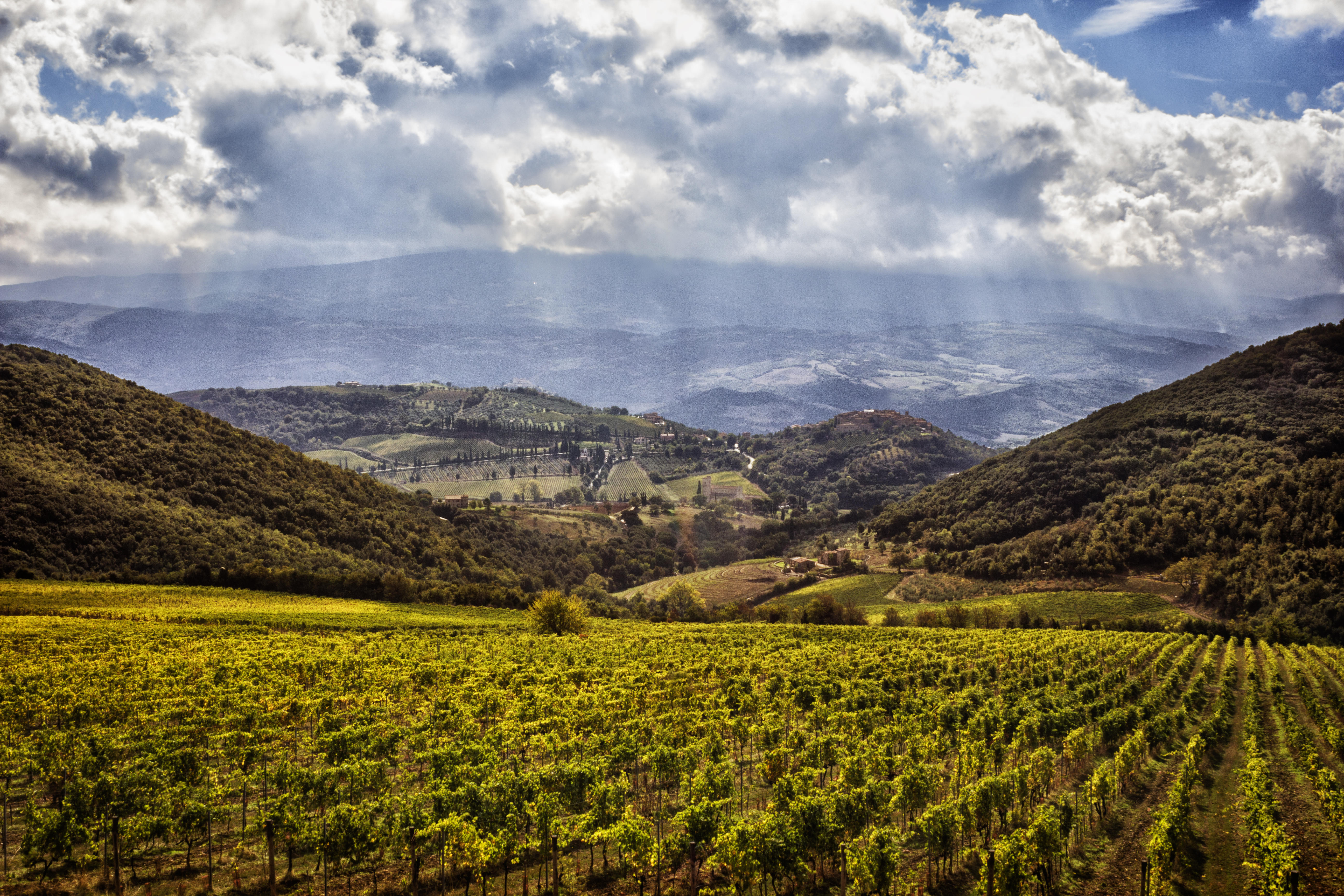 Panorama-vigna_La-Magia_Brunello-6-Photo-supplied-by-La-Magia