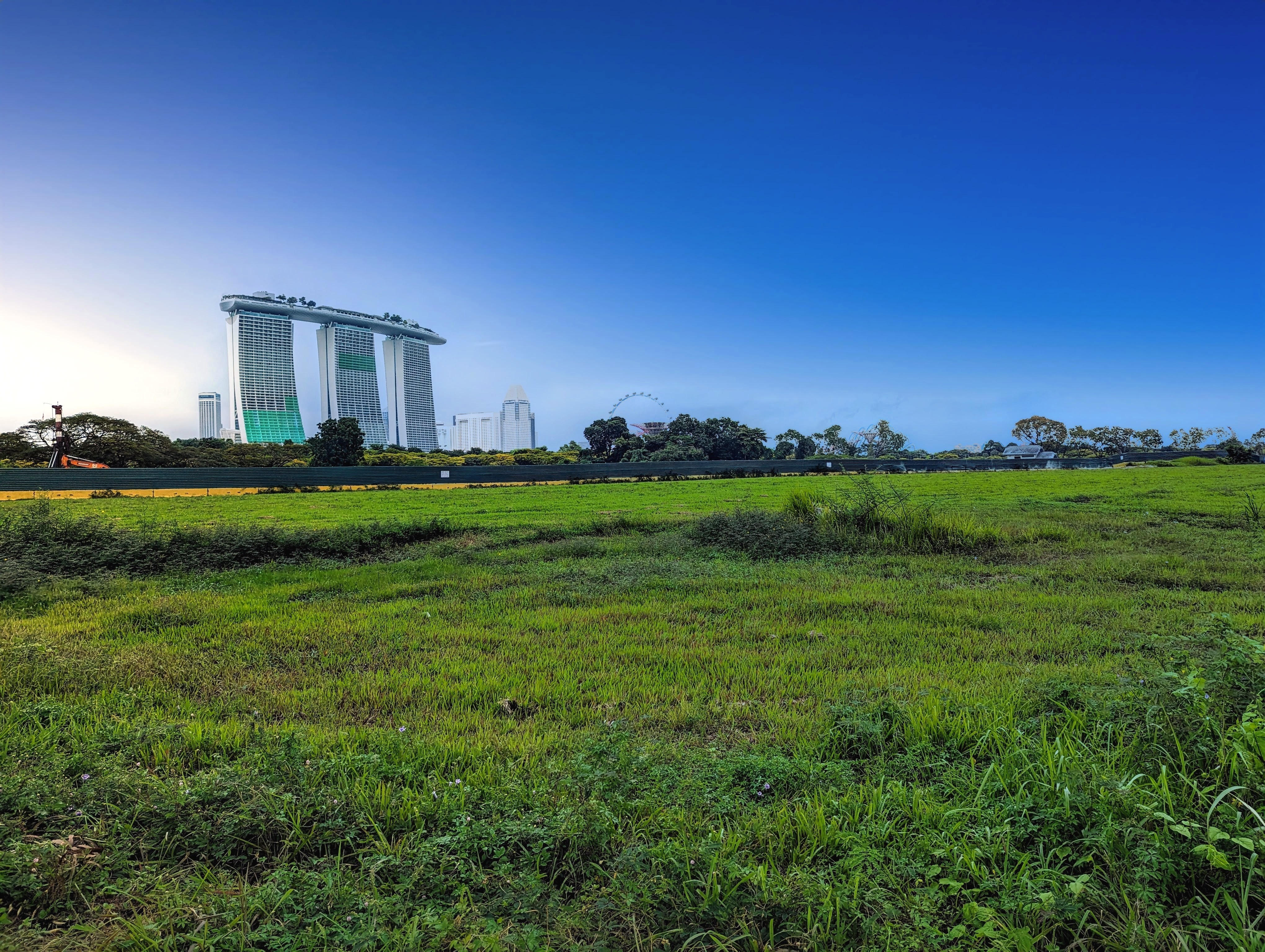 Singapore-Field_Remy-Osman