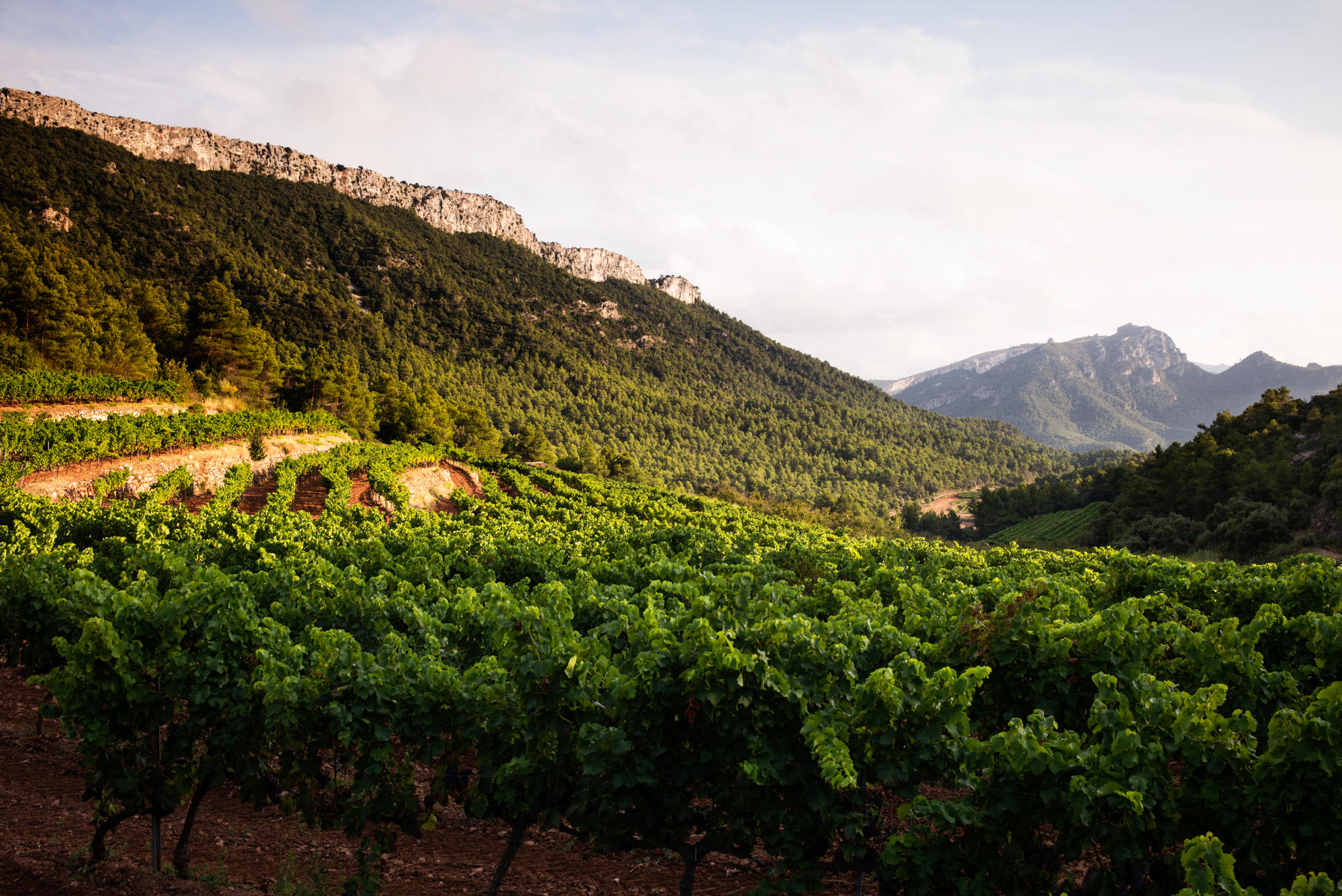 Spain_Catalonia_Jason-Lowe_17
