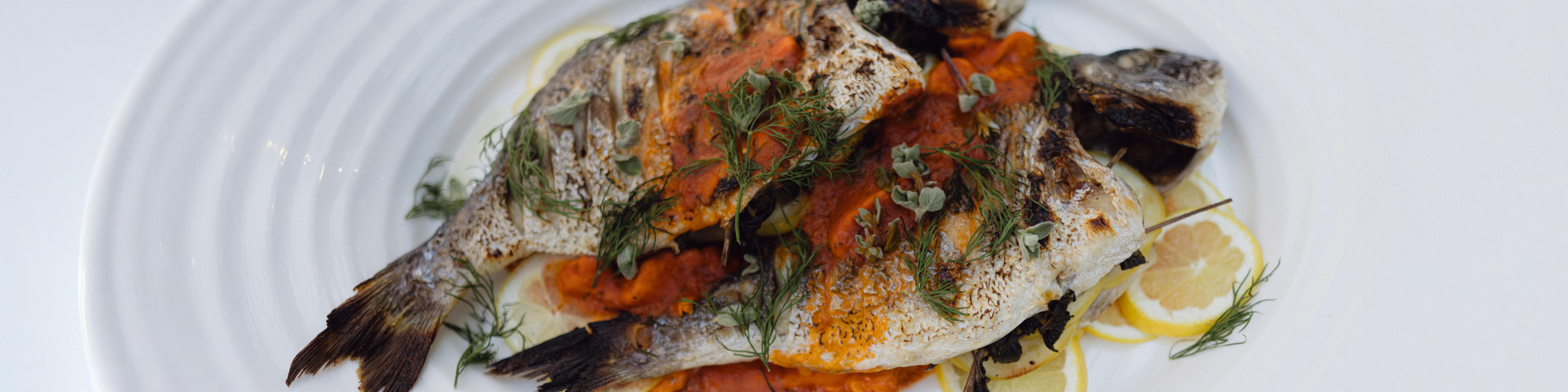 Summer-photoshoot-2025-Meat-BBQ-Theme-23-fish-banner