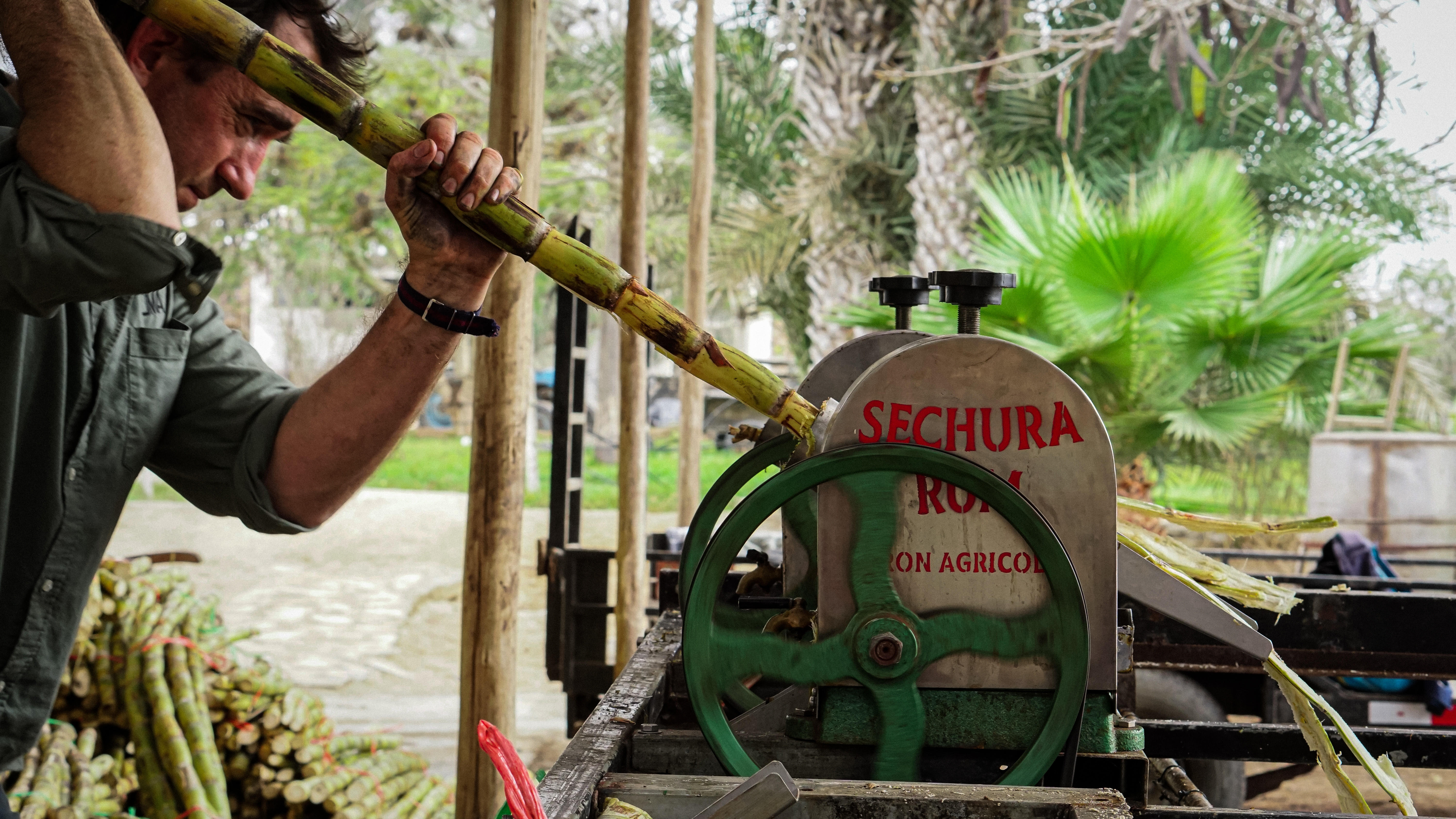 london-to-lima_Alex-crushing-cane-in-1st-press